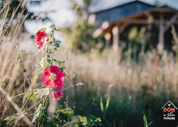 Dom W Sercu Pomlewa * Pomlewo