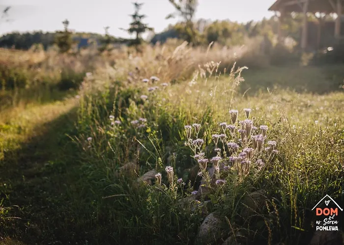 Prázdninový dům Dom W Sercu Pomlewa