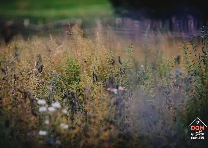 Dom W Sercu Pomlewa Prázdninový dům